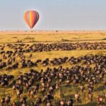 3 Days Maasai Mara Safari - Authentic Experiences from Past Travelers
