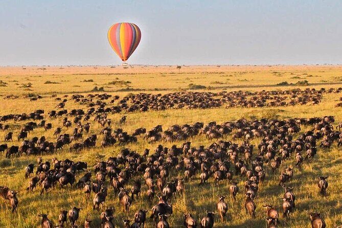 3 Days Maasai Mara Safari - Authentic Experiences from Past Travelers