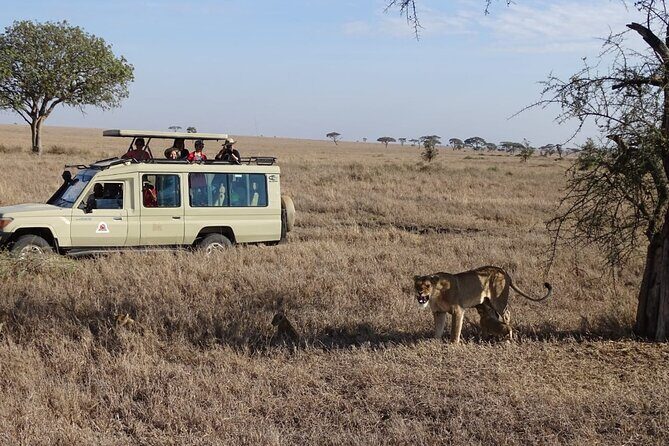 3 Days Maasai Mara Small Group Safari in a 4 x4 Land Cruiser Jeep - Practical Tips for Your Safari