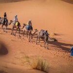 3 Days Marrakech To Fes Desert Tour Via Merzouga - The Experience: What Travelers Rave About