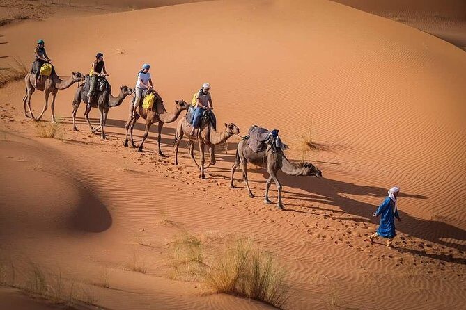 3 Days Marrakech To Fes Desert Tour Via Merzouga - The Experience: What Travelers Rave About