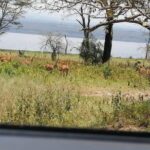 3 Days Masaai Mara budget safari - Authentic Experiences & Authenticity