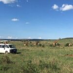 3 days Masai Mara - What’s Included and What’s Not