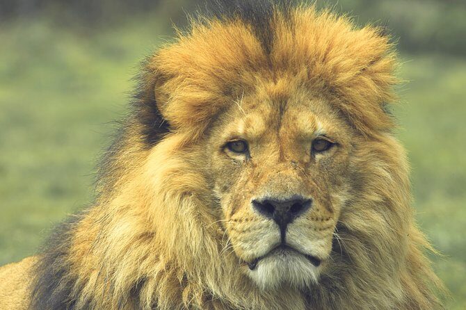 3 Days Masai Mara - The Itinerary in Detail