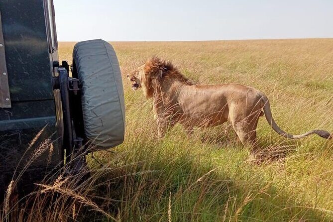3 Days Masai Mara Budget Cruiser Shared Safari & Maasai Village - What Sets This Tour Apart?