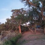 3 Days Masai Mara Camping Safari - What Makes This Safari Stand Out