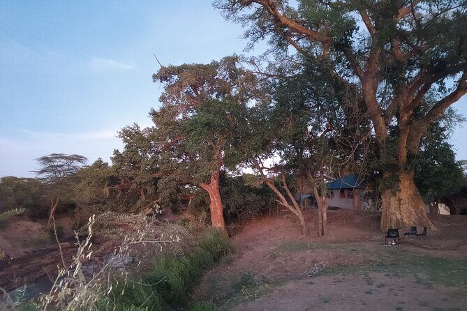 3 Days Masai Mara Camping Safari - What Makes This Safari Stand Out