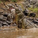 3 Days Masai Mara Flying Safari - Nairobi - What Makes This Safari Stand Out?