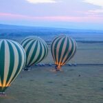 3 Days Masai Mara National Reserve Safari - Transportation & Logistics: Seamless and Efficient