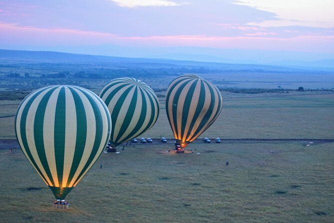 3 Days Masai Mara National Reserve Safari - Transportation & Logistics: Seamless and Efficient