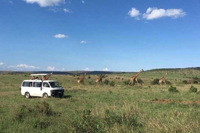 3 days Masai Mara - What’s Included and What’s Not