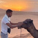 3-Days Merzouga Desert Guided Tour from Marrakech To Fez - Authenticity & Review Insights