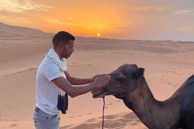 3-Days Merzouga Desert Guided Tour from Marrakech To Fez - Authenticity & Review Insights