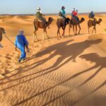 3 Days Morocco Desert Marzouga Tour from Marrakech To Fès - The Practical Details: What’s Included and What to Expect