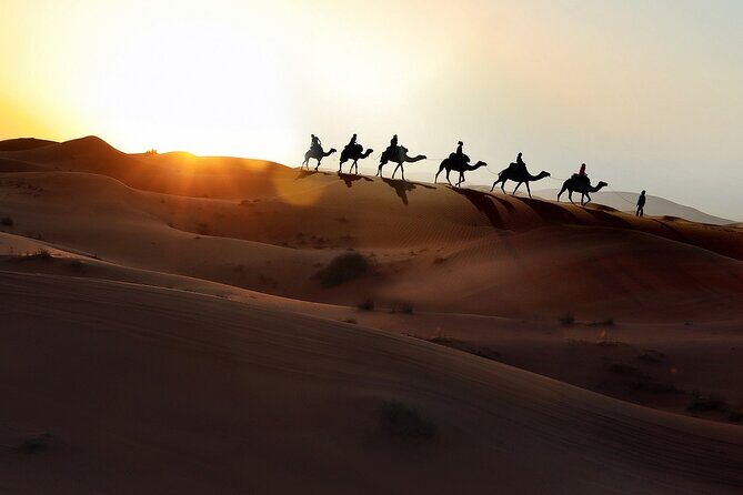 3-Days Morocco Desert Tour from Marrakech to Marzouga - What to Expect from the Transportation and Accommodation