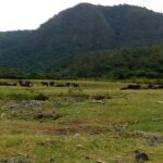 3 Days Mount Meru Trek - Practical Aspects and Value