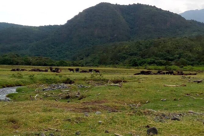 3 Days Mount Meru Trek - Practical Aspects and Value