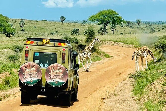 3 days Murchison Falls, Boat cruise and wildlife game viewing - Why This Tour Offers Value