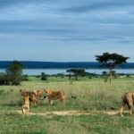 3 Days Murchison Falls - Budget - Detailed breakdown of the itinerary
