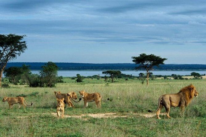 3 Days Murchison Falls - Budget - Detailed breakdown of the itinerary