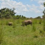 3-Days Murchison Falls Vacation Including Big 5 Sighting! - Who Is This Tour Best Suited For?