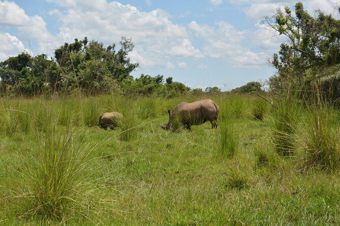 3-Days Murchison Falls Vacation Including Big 5 Sighting! - Who Is This Tour Best Suited For?