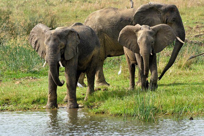 3 Days Murchison Falls Wildlife Safari - What to Expect from the Itinerary