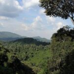 3 Days Nyungwe Natural forest tour in Rwanda - Day 3: Scenic drives, island visits, and return to Kigali