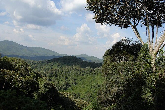 3 Days Nyungwe Natural forest tour in Rwanda - Day 3: Scenic drives, island visits, and return to Kigali