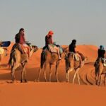 3 Days Private Desert Tour From Fez To Marrakech - What Makes This Tour Stand Out?