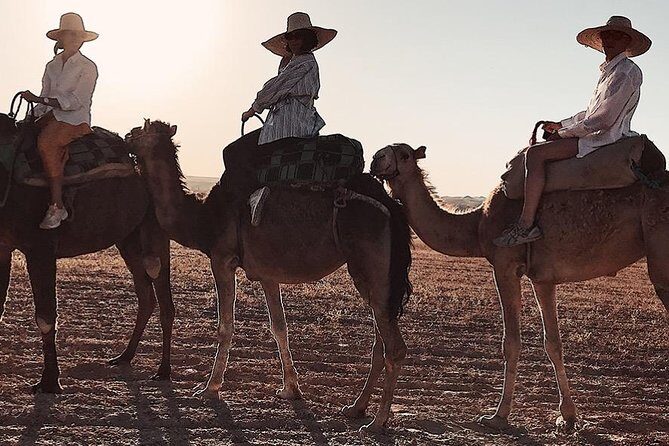 3 Days: Private Desert Tour from Marrakech to Merzouga via Atlas & Camel Trek - The Experience in Detail