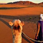 3 days Private Merzouga Trip Tours From Marrakech - Transportation, Guides, and Overall Comfort
