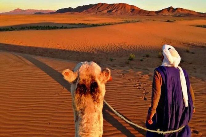 3 days Private Merzouga Trip Tours From Marrakech - Transportation, Guides, and Overall Comfort