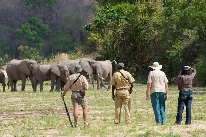 3-Days Private Nyerere NP Game Drive and Boat safari tour - Day 1: Arrival and Rufiji River Boat Safari