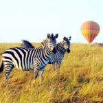 3 Days Private Tour in Maasai Mara With 4*4 Vehicle - What Makes This Tour Stand Out?