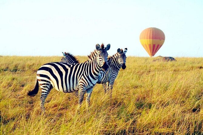 3 Days Private Tour in Maasai Mara With 4*4 Vehicle - What Makes This Tour Stand Out?