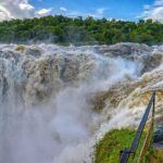 3 Days Private Tour in Murchison Falls National Park - The Experience: What Makes This Tour Special?