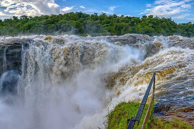 3 Days Private Tour in Murchison Falls National Park - The Experience: What Makes This Tour Special?