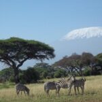 3 days Red elephant safari - Deep dive into the itinerary and its appeal