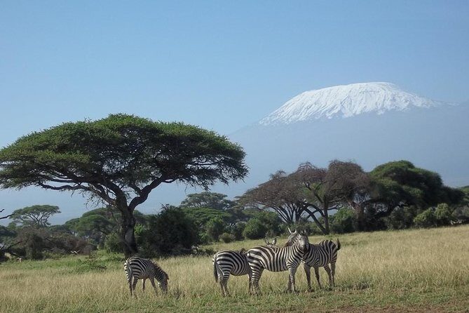 3 days Red elephant safari - Deep dive into the itinerary and its appeal