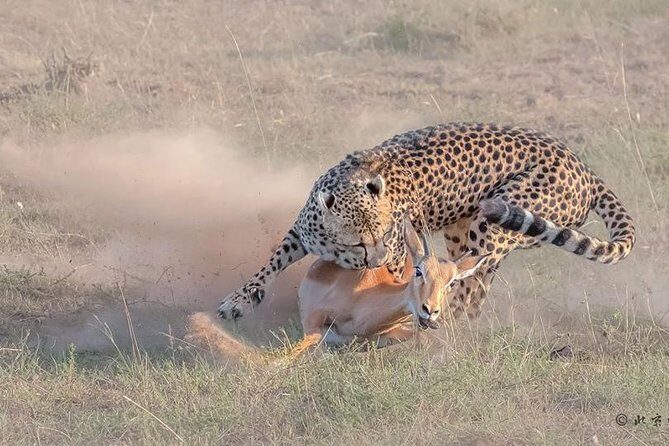 3 Days Safari in Amboseli National Park - FAQ