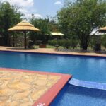 3 Days Safari - Mikumi National Park - Analyzing the Cost and Value