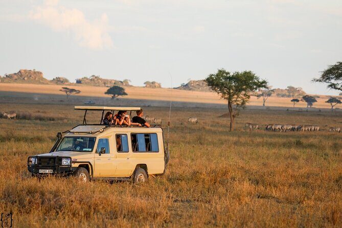 3 Days Safari Ngorongoro Crater and Serengeti National Park - Authentic Insights from Travelers