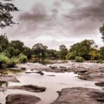 3 Days Safari - Selous Game Reserve - Final Thoughts: Who Is This Safari For?
