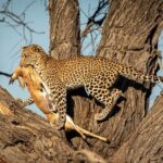 3 Days Safari Serengeti & Ngorongoro Crater - Practical Considerations