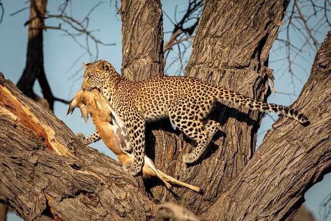 3 Days Safari Serengeti & Ngorongoro Crater - Practical Considerations