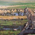 3 days Safari to Tarangire, Ngorongoro and Manyara from Zanzibar - Starting the adventure: Zanzibar to Tanzania