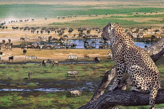 3 days Safari to Tarangire, Ngorongoro and Manyara from Zanzibar - Starting the adventure: Zanzibar to Tanzania