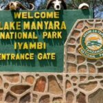 3 Days safari to Tarangire, Ngorongoro and Manyara national park - Who is This Safari Best For?