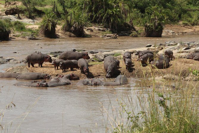 3 Days Safari Tour in Lake Manyara and Ngorngoro - Detailed Itinerary Breakdown
